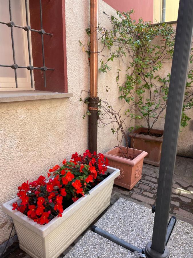 Apartamento Via Braschi Sessantotto Cesena Exterior foto